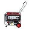 Benzininis generatorius SUPTECH 10000E-II (vienfazis)