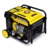 Inverterinis elektros generatorius 4,8 kW KD194 - Sodrinta.lt