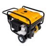 Benzininis generatorius 11/12 kW KD195 - Sodrinta.lt