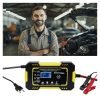 Impulsinis akumuliatoriaus įkroviklis12/6V su LCD KD1290 - Sodrinta.lt
