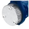 Panardinamas vandens siurblys švariam ir nešvariam vandeniui 2100 W WDS2420 - Sodrinta.lt