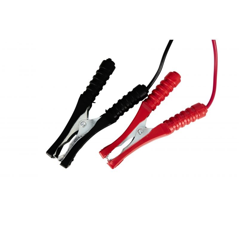 Įkroviklis 12V 24V 10A 60Ah KD1905 - Sodrinta.lt