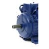 Elektrinis variklis 1,5 kW 220V KD1801 - Sodrinta.lt