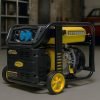 Inverterinis elektros generatorius 4,8 kW KD194 - Sodrinta.lt
