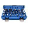 TORX galvučių rinkinys, 19 dalių, KD10347 - Sodrinta.lt