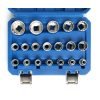 TORX galvučių rinkinys, 19 dalių, KD10347 - Sodrinta.lt