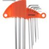 18 dalių šešiakampių ir torx raktų rinkinys KD10297 - Sodrinta.lt