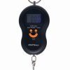 WAGA HAKOWA RĘCZNA MAX 50KG KD11415 - Sodrinta.lt