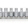 Torx galvučių rinkinys 8 vnt. 3/8