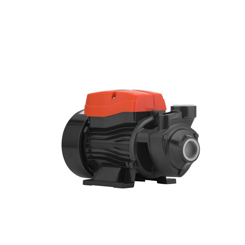 Vandens siurblys 1" 650W, 60 l/min KD808 - Sodrinta.lt