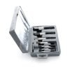 8 dalių sulūžusių varžtų išsukėjų rinkinys KD10262 - Sodrinta.lt