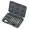 Antgalių rinkinys TORX 15vnt. - Sodrinta.lt