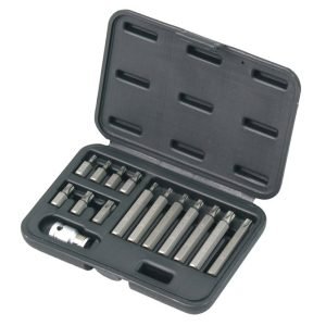Antgalių rinkinys TORX 15vnt. - Sodrinta.lt