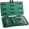 1/4" + 1/2" Galvučių su antgaliais rinkinys (TORX) 18vnt. - Sodrinta.lt