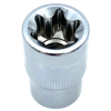 1/2" Galvutė E-TORX - Sodrinta.lt