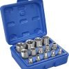 TORX galvučių rinkinys 14 vnt. KD10335 - Sodrinta.lt